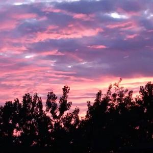 亚洲日韩精品一区
