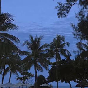 亚洲日韩精品一区
